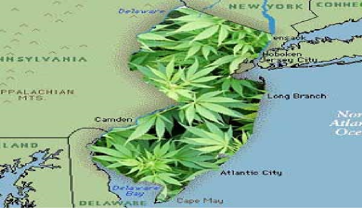 NJCannabis
